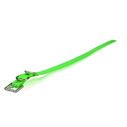 Extra Dog Collar Strap