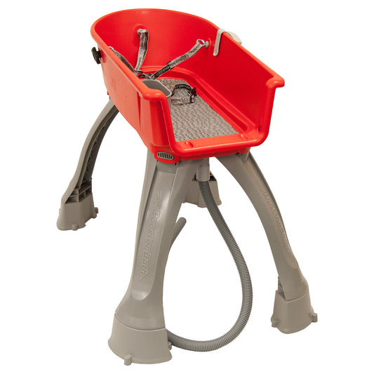 Elevated Dog Bath and Grooming Center