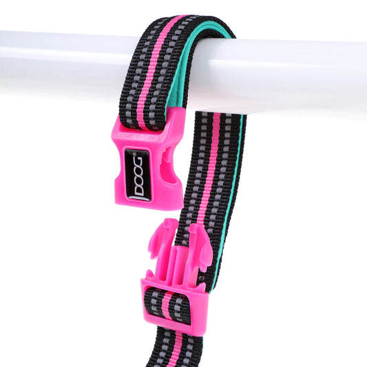 Neoprene Dog Clip It Leash Rin Tin Tin